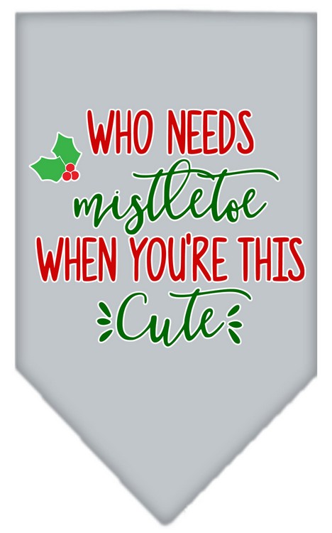 Who Needs Mistletoe Screen Print Bandana Grey Small